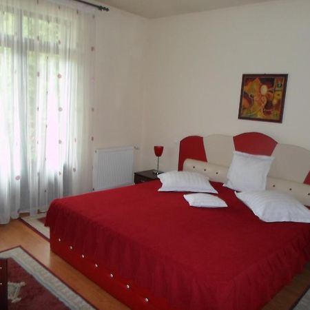 Hotel Pensiunea Speranta à Sovata Extérieur photo