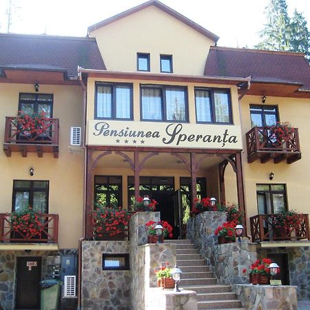 Hotel Pensiunea Speranta à Sovata Extérieur photo