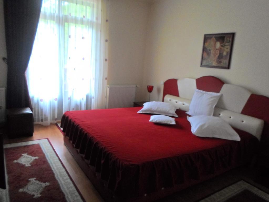 Hotel Pensiunea Speranta à Sovata Extérieur photo